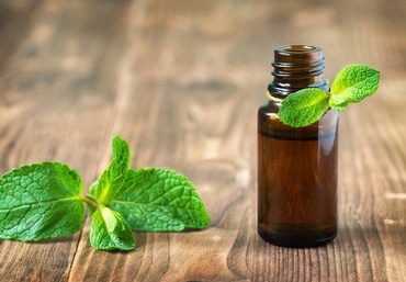 昆明上门油压行业到底还能走多远？