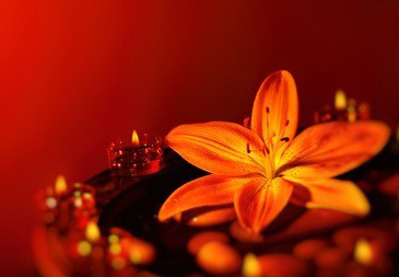 年轻人对昆明上门推拿保健情有独钟的原因